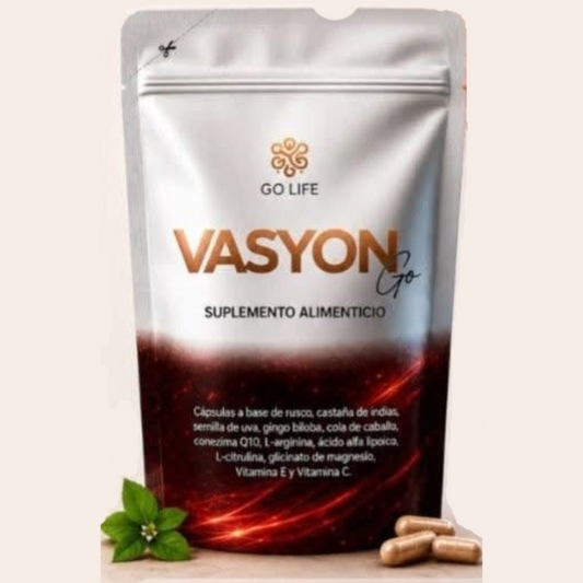 VASYON GO