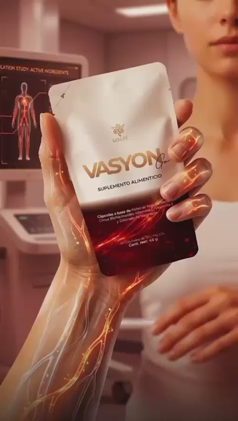 VASYON GO
